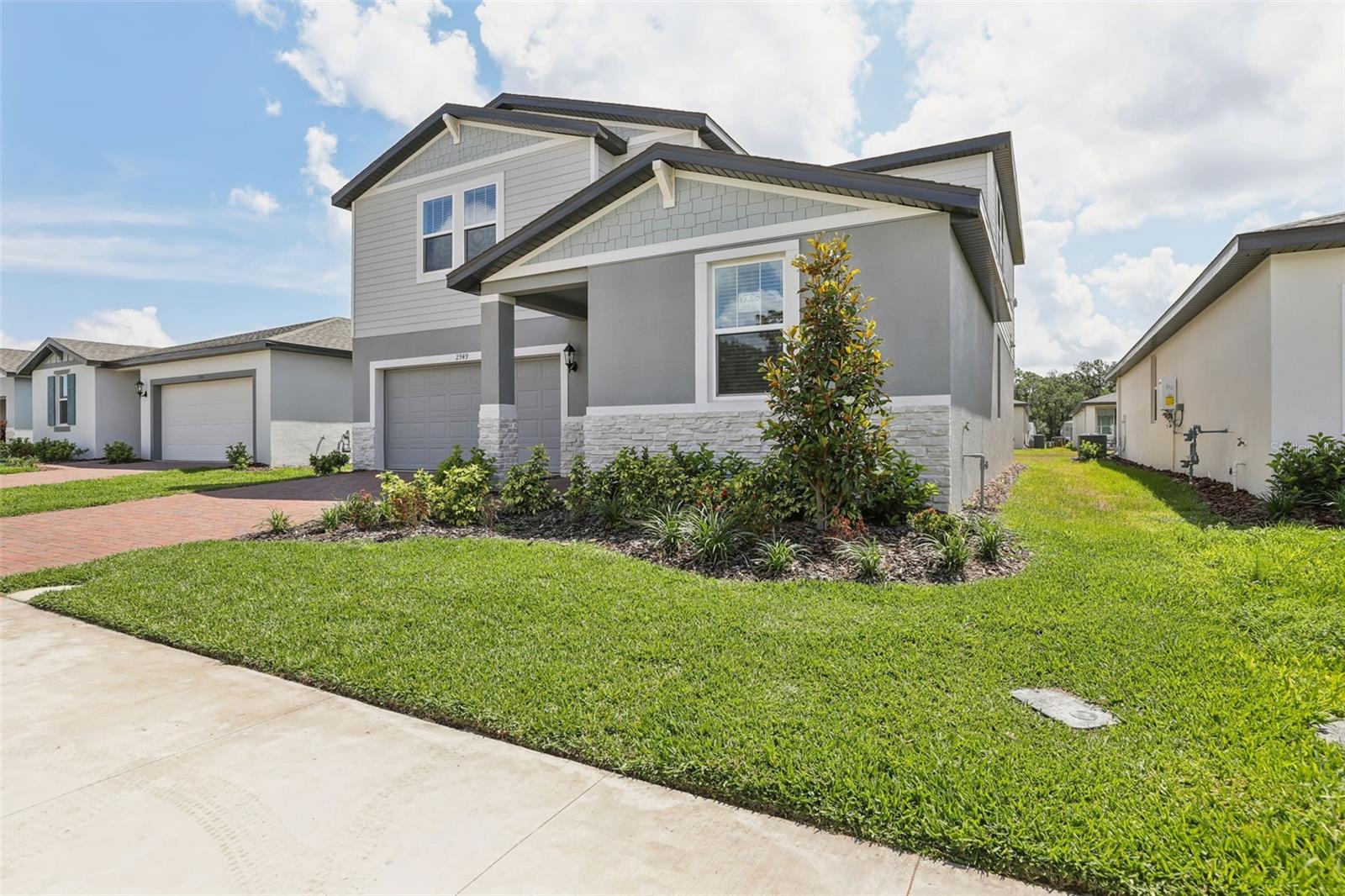 2949 WILD OLIVE DRIVE
