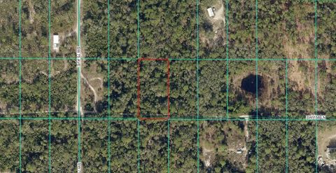 SW 158TH LANE DUNNELLON FL 34432