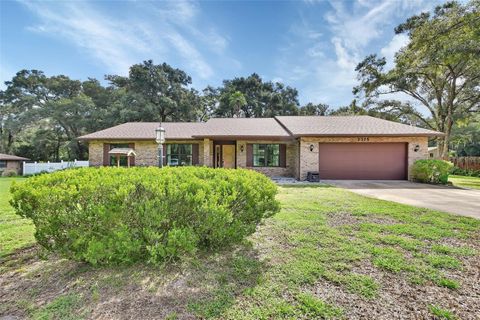 A home in DELAND