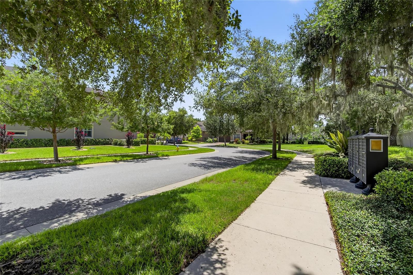 STARLING OAKS - Residential