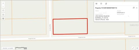 2953 ROYAL PALM DRIVE BUNNELL FL 32110
