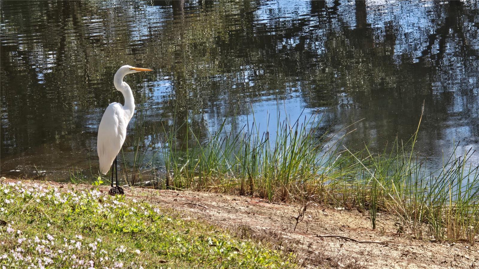 LAKE VIEW CONDOMINIUM AT HERITAGE - Residential