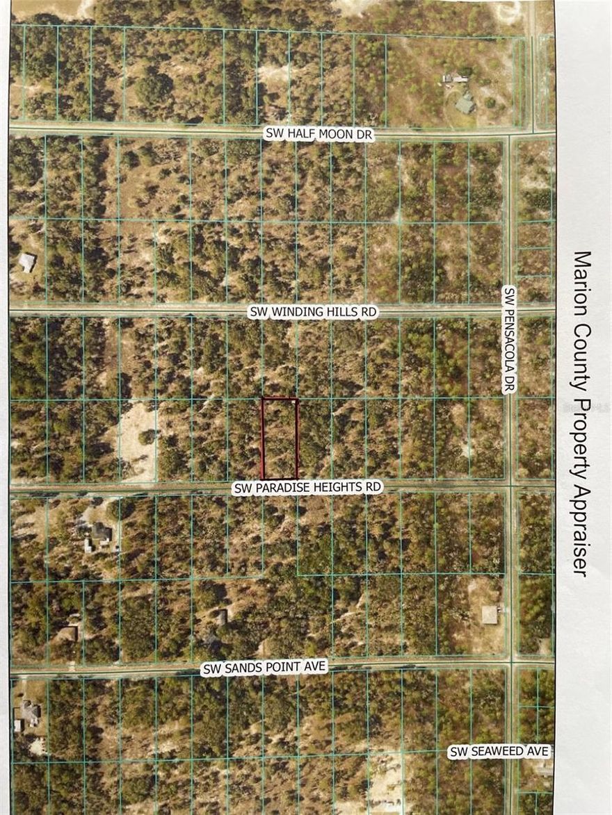 VERY NICE LOT TO BUILD YOUR DREAM HOME, VACATION HOME OR INVESTMENT PROPERTY ON THIS WOODED AND TREED LOT WITH JUST ABOUT AN ACRE OF LAND (0.99 Acres). NO HOA FEES OR TIME LIMIT TO BUILD (No Mobile Homes). LOCATED ON A PAVED ROAD IN THE SOUGHT-AFTER COMMUNITY OF RAINBOW LAKES ESTATES. JUST IMAGINE SPENDING RELAXING TIME WITH FAMILY AND FRIENDS ENTERTAINING IN YOUR BEAUTIFUL NEW HOME ENJOYING SERENE NATURE FILLED DAYS IN THE WONDERFUL FLORIDA SUNSHINE. THE COMMUNITY FEATURES 2 PLAYGROUNDS, BONABLE LAKE WITH A FISHING PIER, TIGER LAKE WITH A BOAT RAMP, EXERCISE ROOM, COMMUNITY CENTER, BASKETBALL AND TENNIS COURTS. CONVENIENT TO DOWNTOWN DUNNELLON, GREAT FOR ANTIQUE SHOPS, RESTAURANTS, SHOPPING, OCALA, THE WORLD EQUESTRIAN CENTER, GREAT FOR THE EQUINE ENTHUSIAST, CRYSTAL RIVER, GAINESVILLE, GULF COAST AND THE CRYSTAL-CLEAR WATERS OF RAINBOW SPRINGS STATE PARK WHERE YOU CAN ENJOY SWIMMING, KAYAKING, CANOEING, SNORKELING, TUBING AND PICNICING. COME CLAIM YOUR PIECE OF PARADISE!!