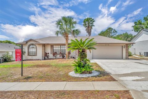 15628 HIDDEN LAKE CIRCLE CLERMONT FL 34711