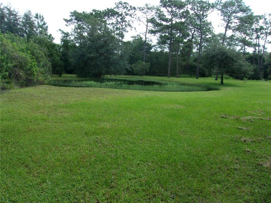 4480 DEER RUN RD, SAINT CLOUD, FL 34772 - Image ba68b8e1448aeeef4c2e6ba4a32e14b7/1868331448