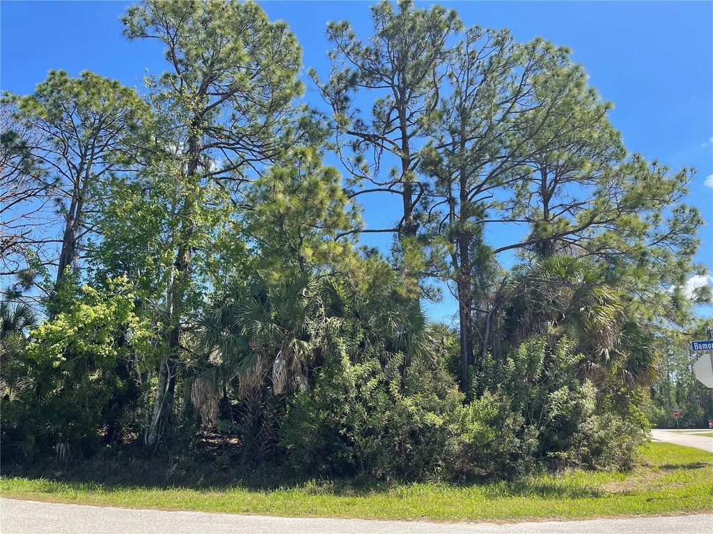 Photo of 6 Bamonte Street, North Port, FL 34286 (MLS # C7523607)