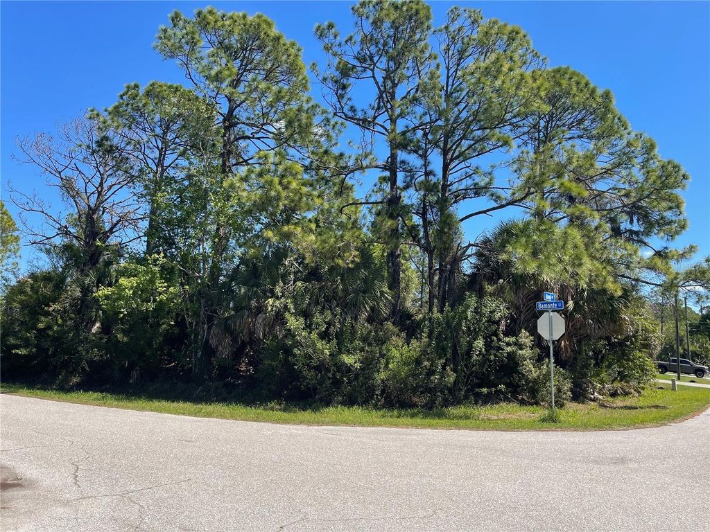 Photo of 6 Bamonte Street, North Port, FL 34286 (MLS # C7523607)