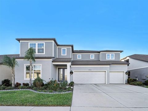 12923 WILLOW GROVE DRIVE RIVERVIEW FL 33579