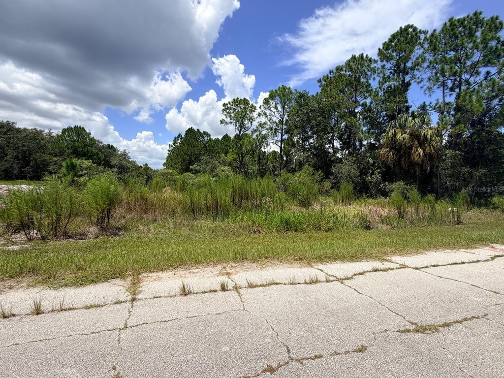 Photo of 1269 Baltic Drive, Poinciana, FL 34759 (MLS # S5155935)
