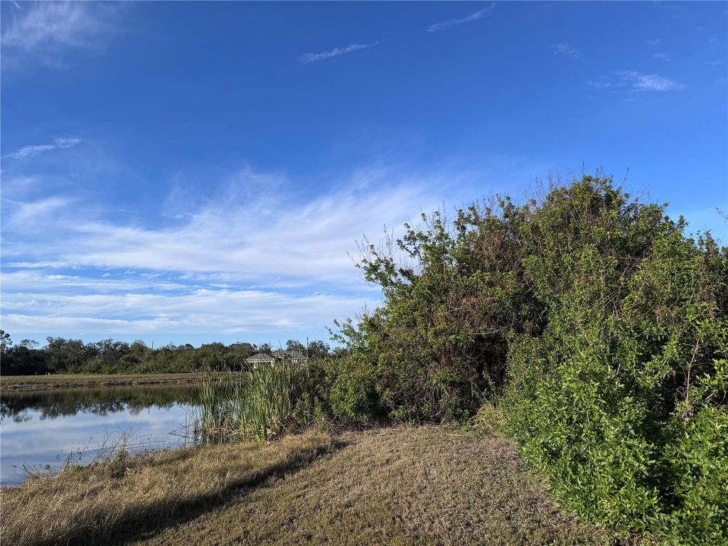 Photo of 216 Antilla Drive, Rotonda West, FL 33947 (MLS # GC527800)