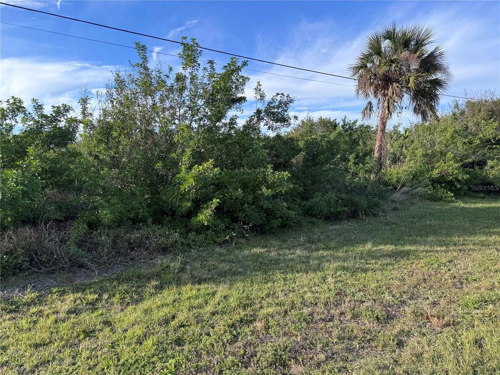 Photo of 216 Antilla Drive, Rotonda West, FL 33947 (MLS # GC527800)