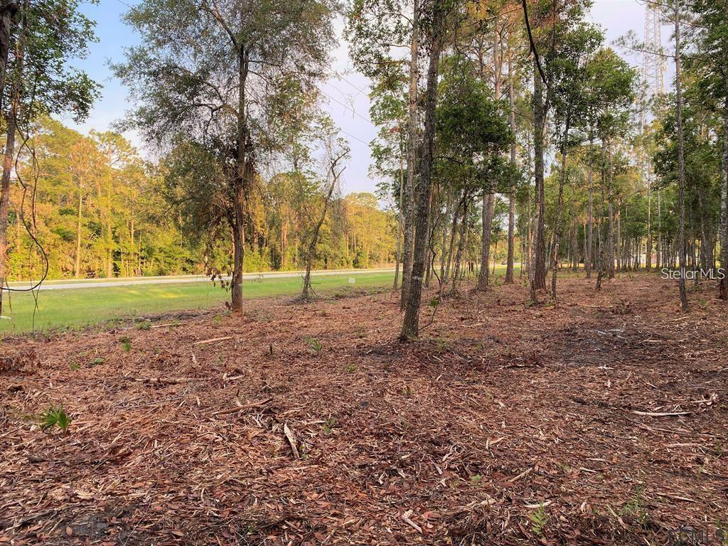 A rare opportunity to earn commercial property in the fastest growing corridor of US 1 North in Palm Coast. Property is located just south one mile of the Palm Coast Parkway and US1 intersection. Zoned Palm Coast COM-3 is the highest intensity commercial (FLUM-Mixed Use), can be divided into two 250’ foot frontage parcels at $300,000 each. Property located 7 miles from the Atlantic Ocean and on the forefront of Palm Coast 2.0 Initiative. 2 new hospitals , one just open and one under review within 2.5 miles. 1200+ new home sites being developed at Reverie of Palm Coast and Saw Mill within 2.5 miles of this site. Great road frontage and outstanding daily traffic counts. Rare to find 500’ Front Feet of commercial property. Must see location. Survey, wetland delineation, and tree survey complete. Preliminary site plan also complete and through predevelopment meetings (TRX) with City of Palm Coast Development Staff. Option to mitigate wetlands and acquire additional net uplands possible. Utilities Forcemain and Water Extension under construction across US 1.