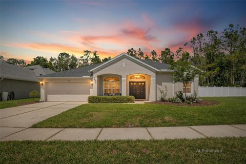 5937 RIVA RIDGE DRIVE WESLEY CHAPEL FL 33544
