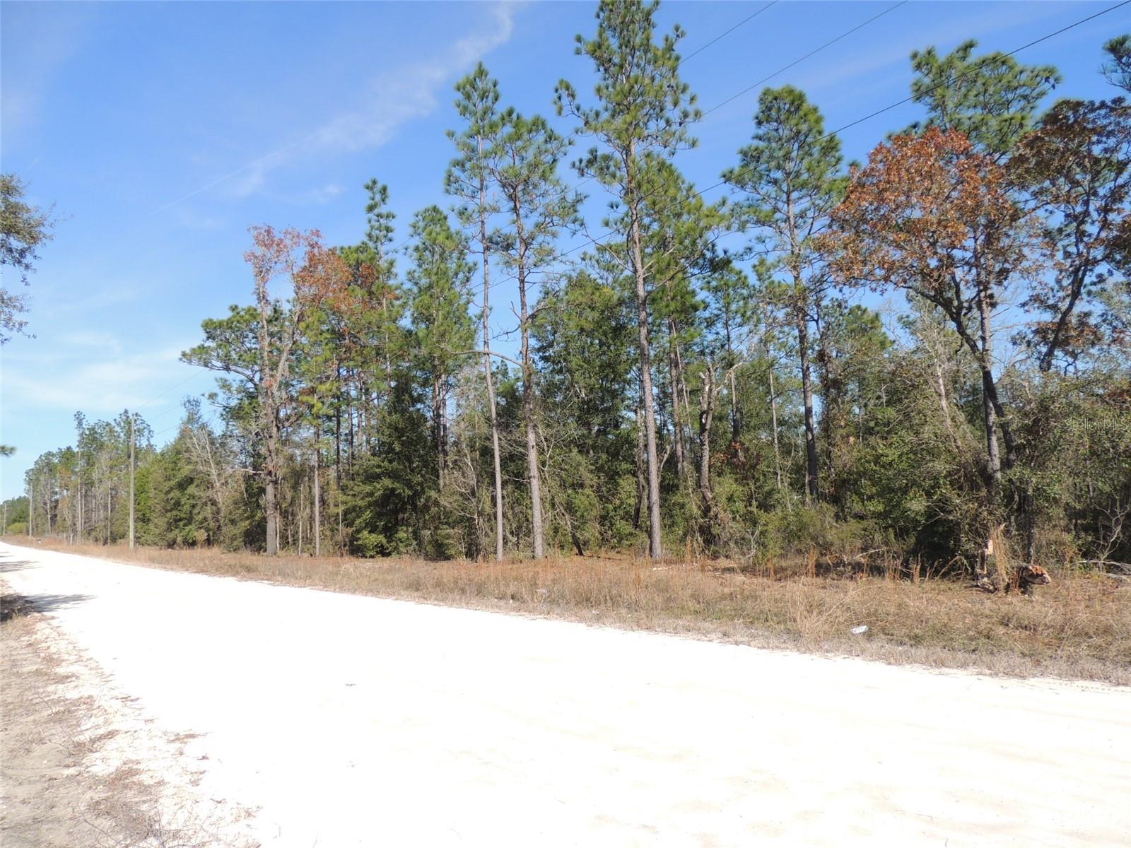 BLACK JACK RIDGE ESTATES - Land