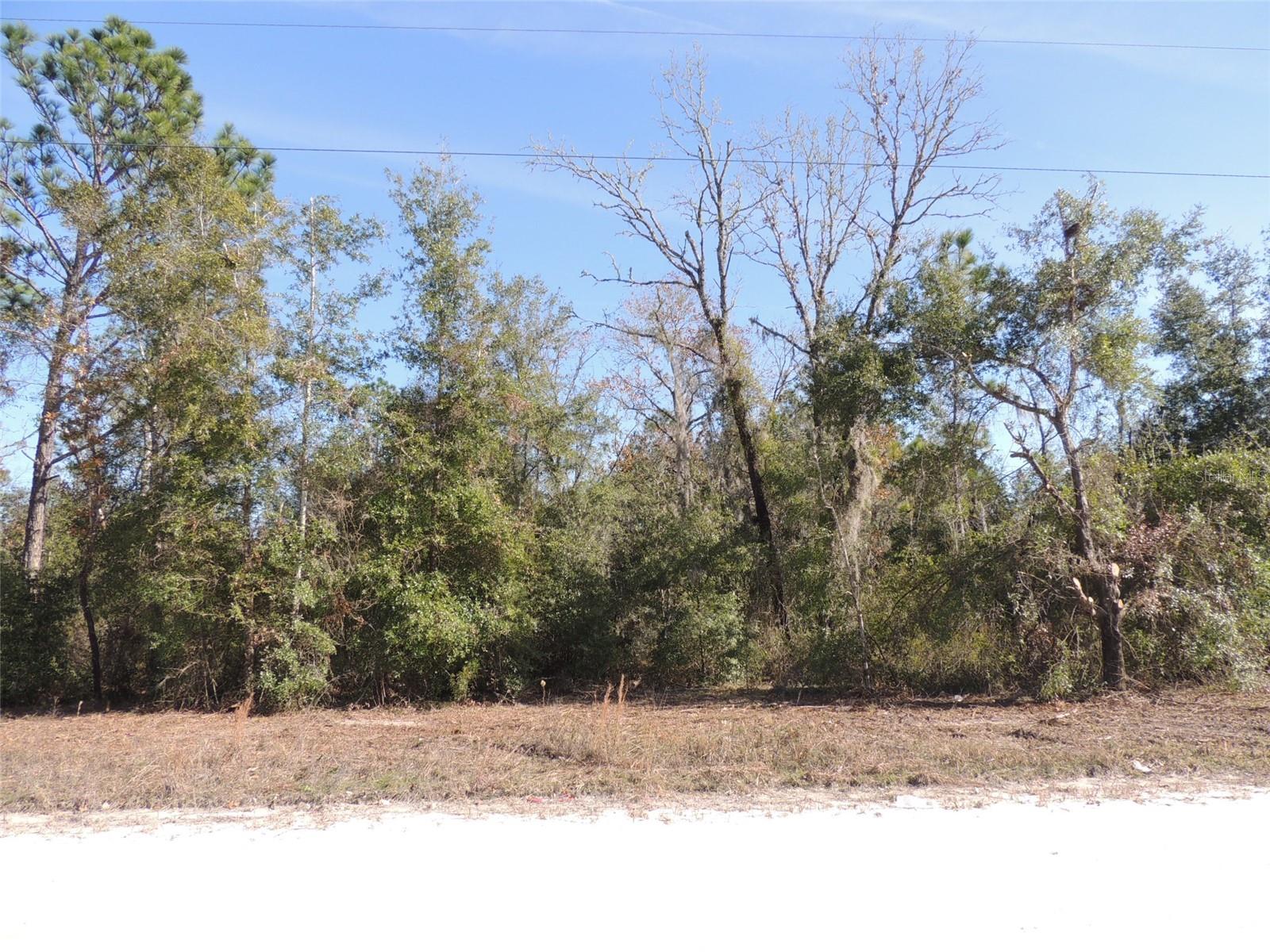 BLACK JACK RIDGE ESTATES - Land