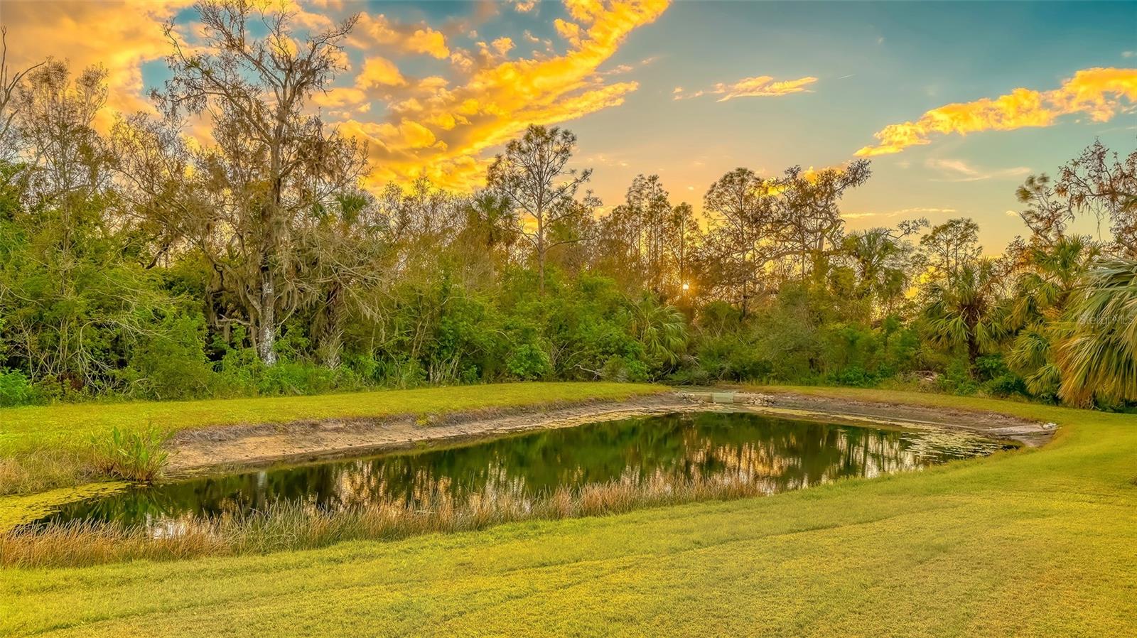 TWIN RIVERS PH IV - Residential