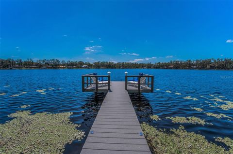Photo of 16019 Chastain Road, Odessa, FL 33556 (MLS # TB8460939)