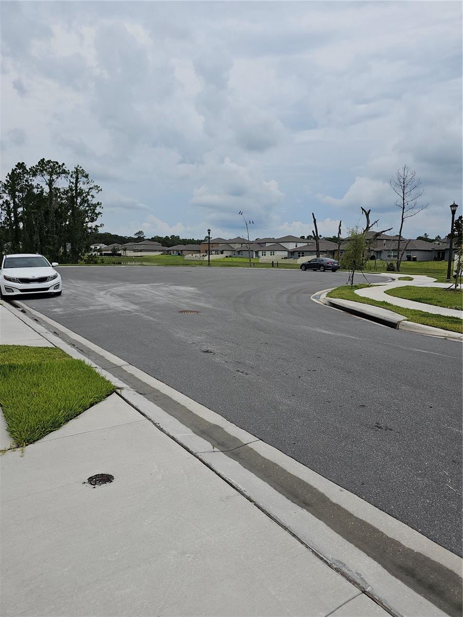 1629 YELLOW TRAIL