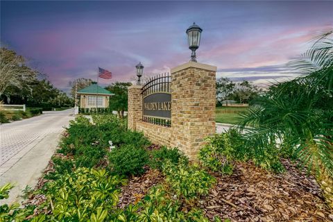 A home in PLANT CITY