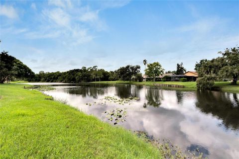 A home in PLANT CITY