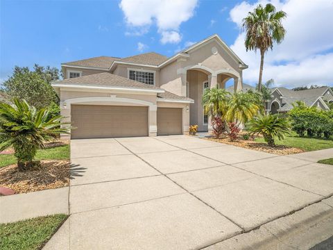 A home in LAND O LAKES