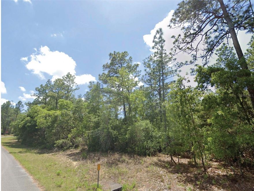 Build your future home in the growing community of Citrus Springs! This vacant residential lot is located on a quiet street in Citrus Springs, offering a peaceful setting while still being close to everyday conveniences. Zoned RUR (Rural Residential), this property provides flexibility for a site-built home with plenty of space for outdoor living. Enjoy nearby parks, golf courses, and the natural beauty of the area, including easy access to the Rainbow Springs State Park, known for its crystal-clear springs and recreational activities. Shopping, dining, and schools are just a short drive away, making this an ideal location for both full-time living or a future investment. Don’t miss this opportunity to own land in one of Citrus County’s steadily developing areas!
All information is deemed reliable but should be independently verified.