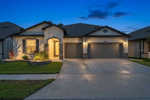 9397 IBIS GROVE BOULEVARD WESLEY CHAPEL FL 33545