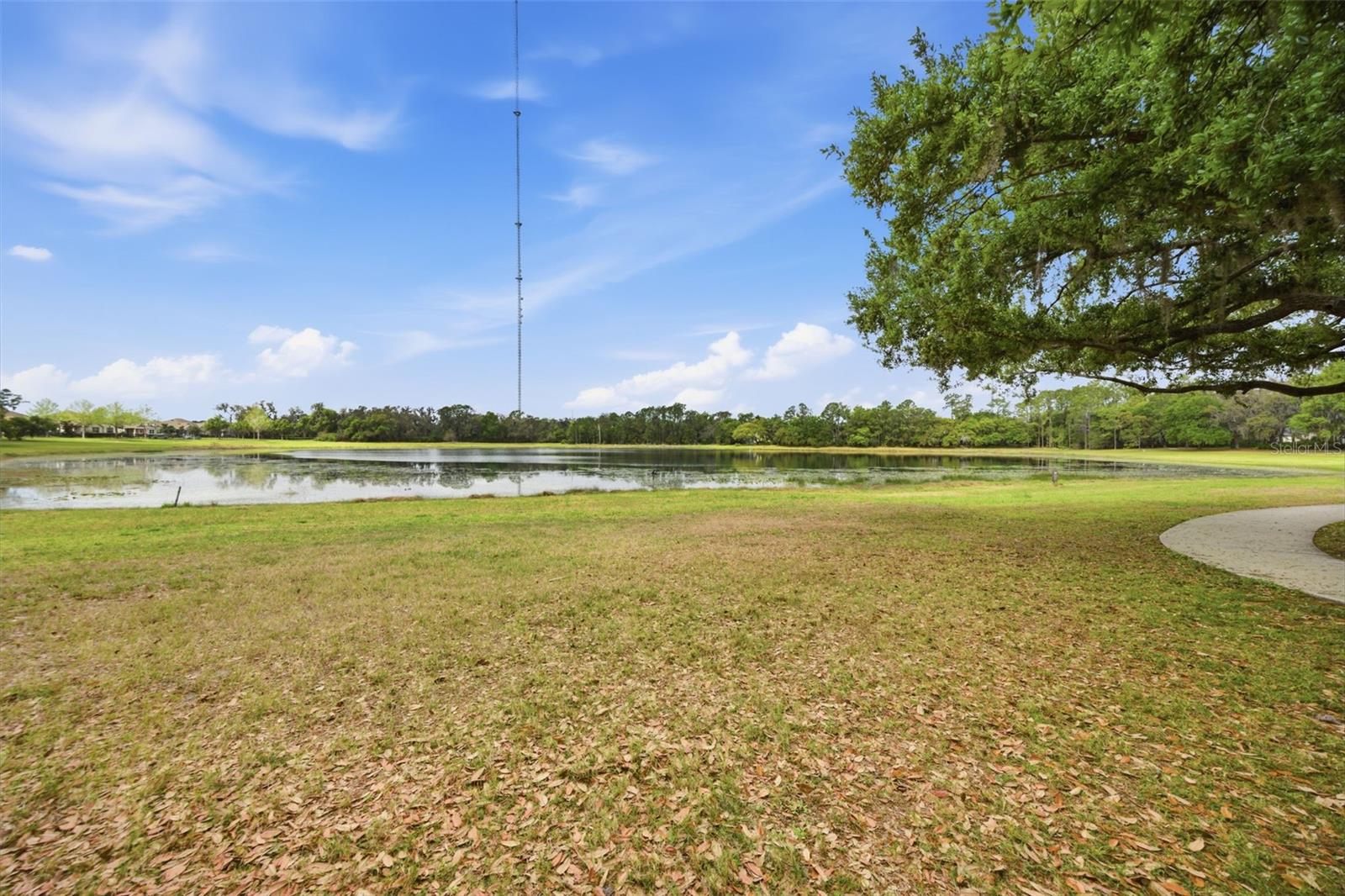 FISHHAWK RANCH WEST TWNHMS - Residential