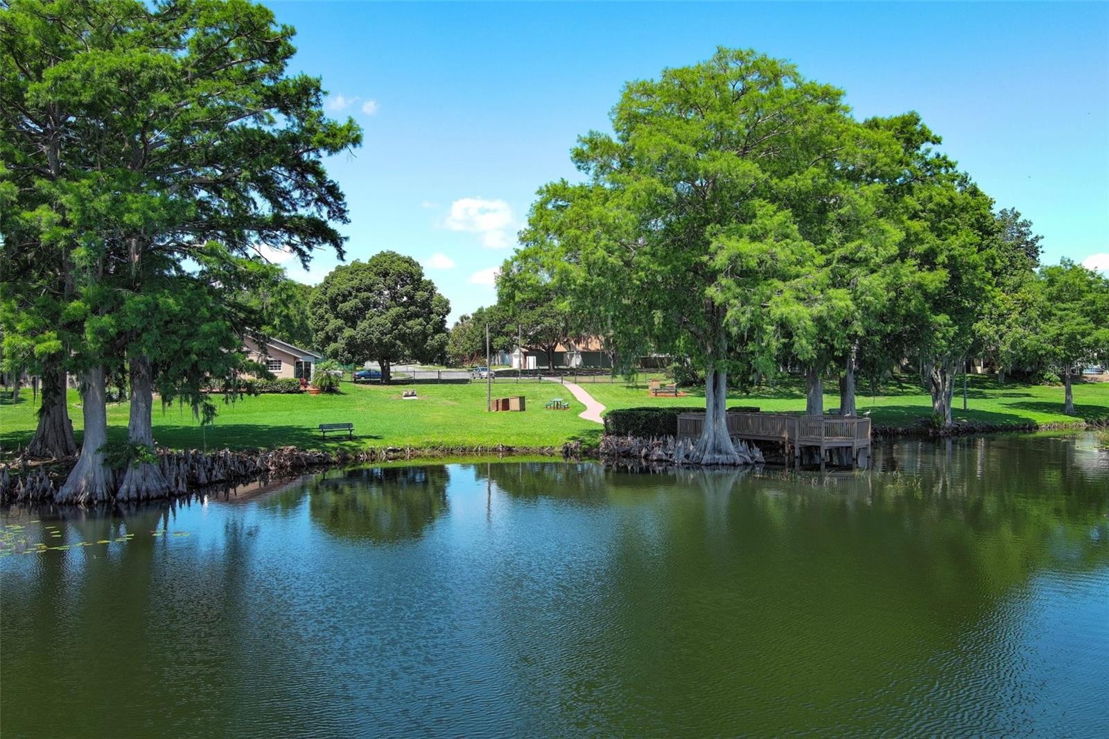 COUNTRY LANE - Residential