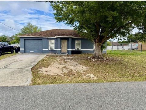 Photo of 207 Lily Pad Rd, Eagle Lake, FL 33839 (MLS # O6398886)