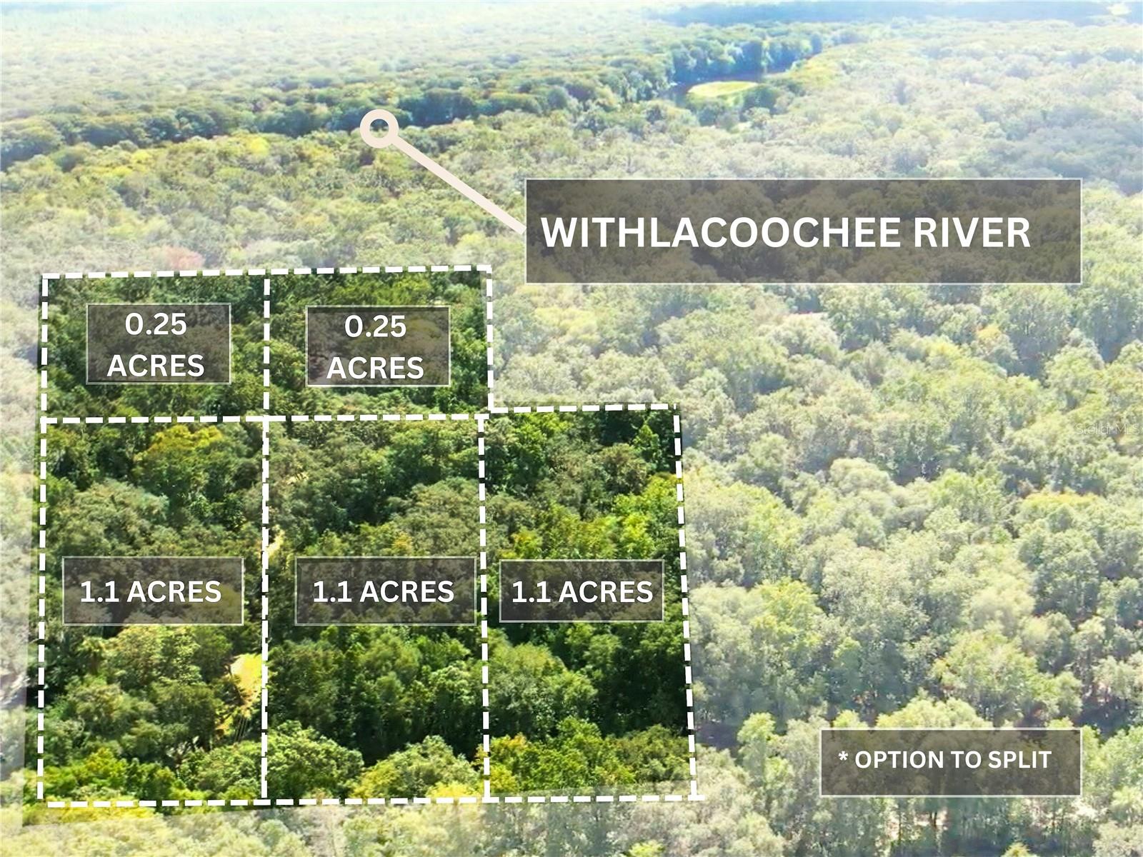 2452 N JUNGLECAMP ROAD