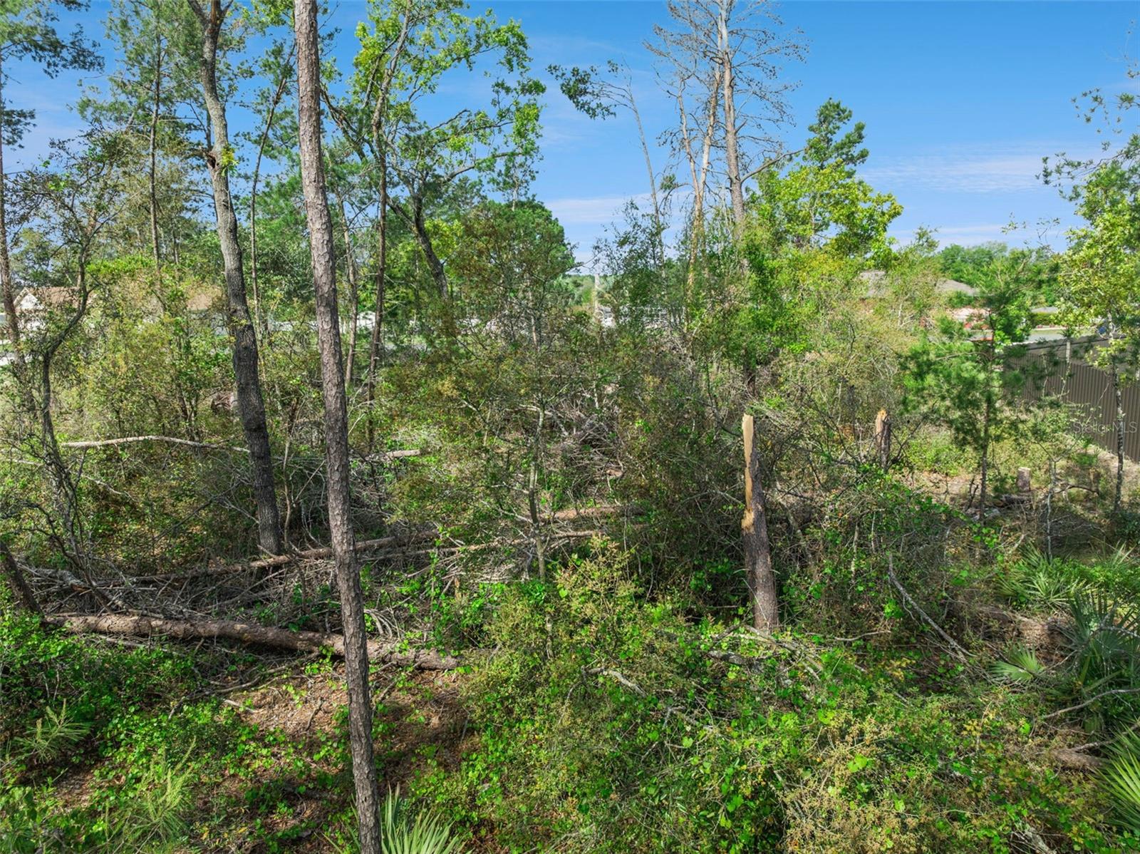 KINGSLAND COUNTRY ESTATE - Land