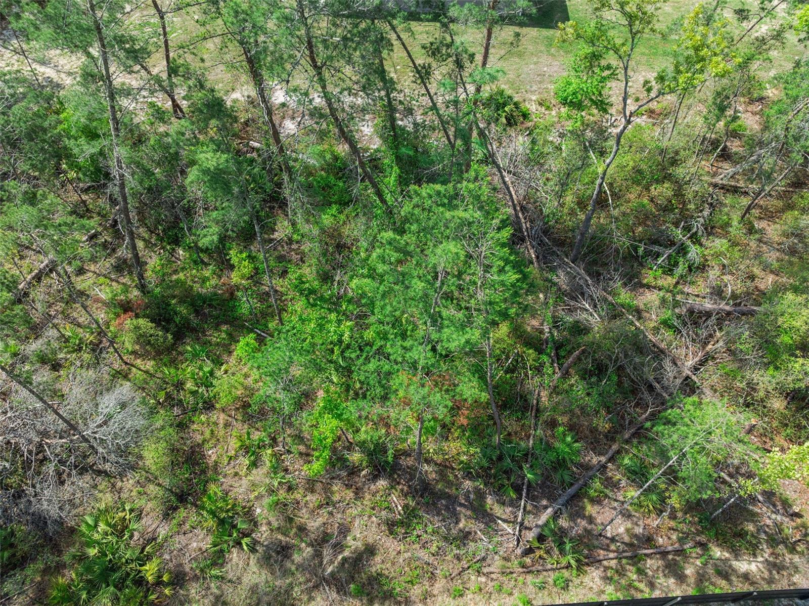 KINGSLAND COUNTRY ESTATE - Land