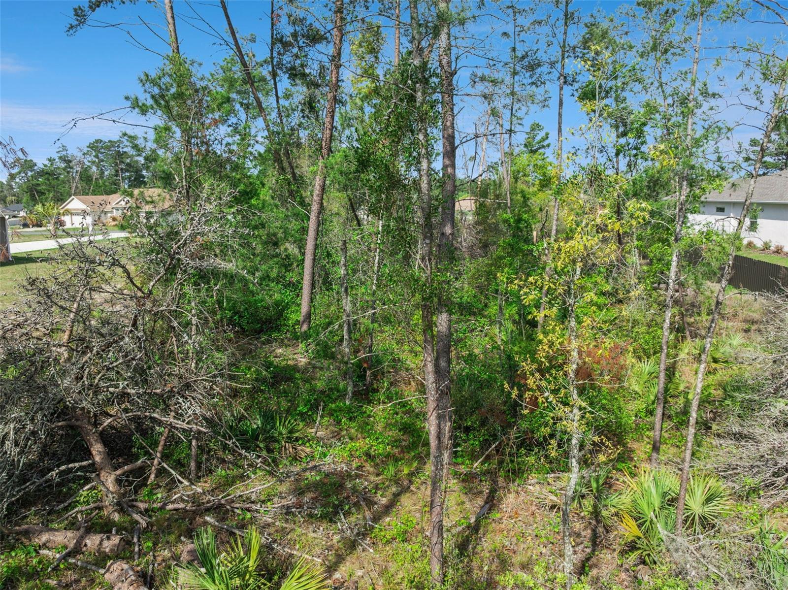 KINGSLAND COUNTRY ESTATE - Land