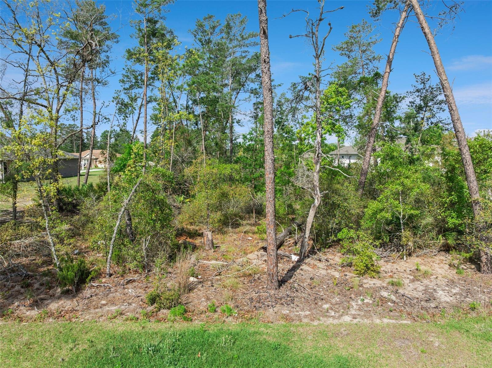 KINGSLAND COUNTRY ESTATE - Land