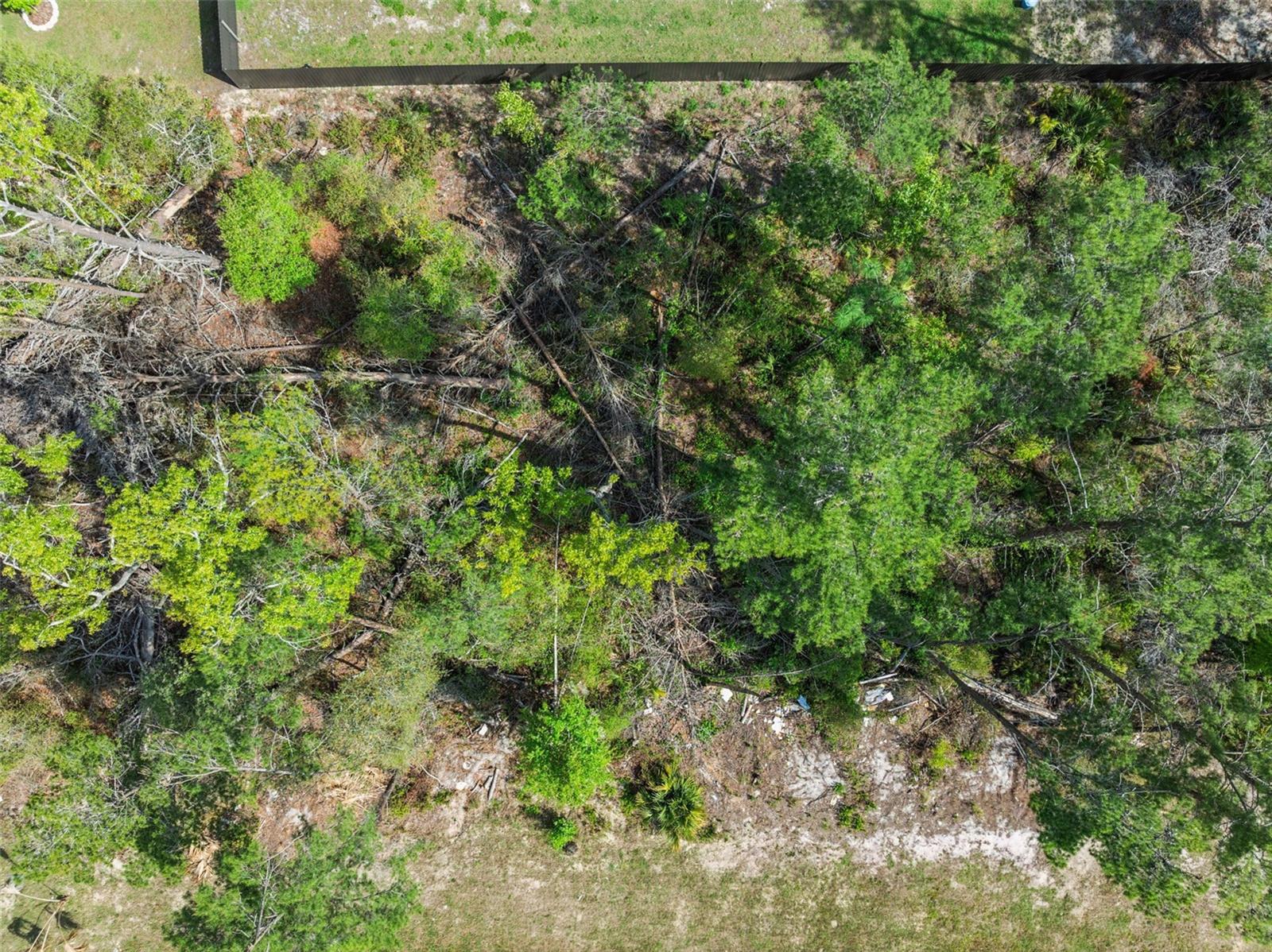 KINGSLAND COUNTRY ESTATE - Land