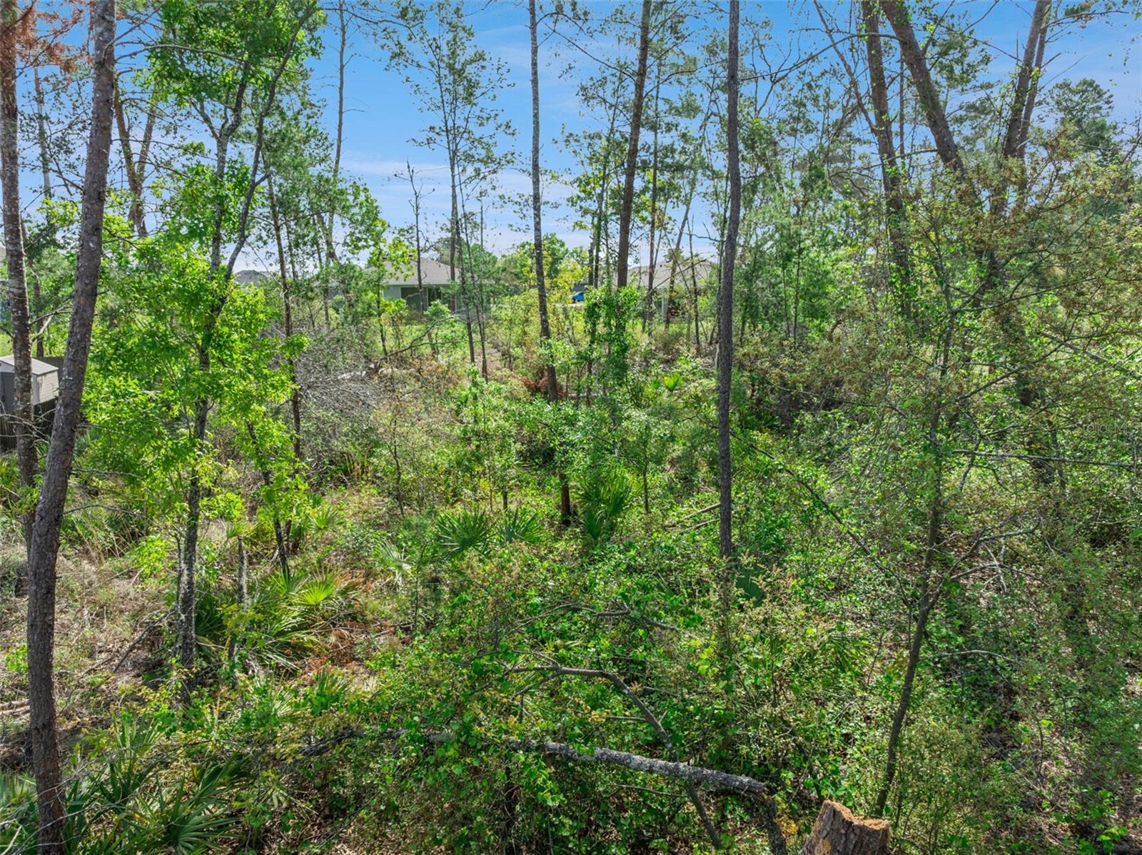 KINGSLAND COUNTRY ESTATE - Land