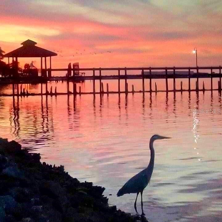 BRADEN CASTLE PARK - Residential
