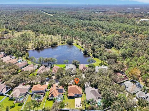 A home in TAMPA