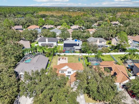 A home in TAMPA