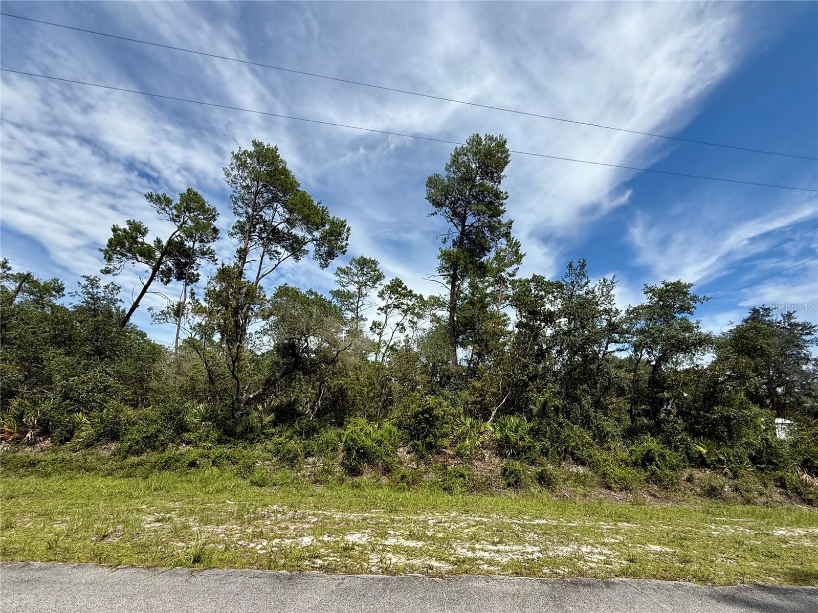 1.05 Corner ACRE in cul-de-sac, No CDD, Rural, paved streets, with no time limit to build. The HOA is $92.00 a year. Once you build, you may park your RV and boat, the zoning allows two horses an acre. You can plant a garden and enjoy the peaceful setting Royal Trails offers. You can bring your own builder; the minimum square footage is 1,200. Fiber Optics are available on this street. You can build your home facing Dahlia Court or Dahlia Street. With deed restrictions that prohibit modular, mobile, or manufactured homes, Royal Trails maintains its charm and long-term value—making this parcel a rare opportunity for those seeking space, nature, and a welcoming neighborhood. The adjacent home is also for sale, look at G5096534