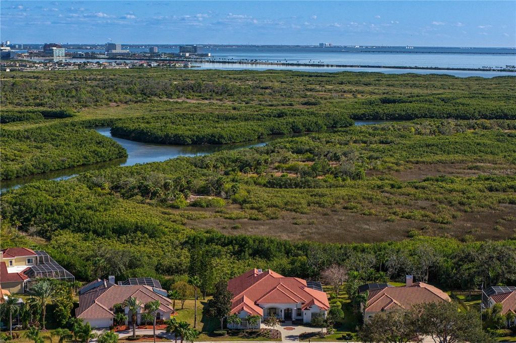 Photo of 5611 E Longboat Boulevard, Tampa, FL 33615 (MLS # TB8473625)