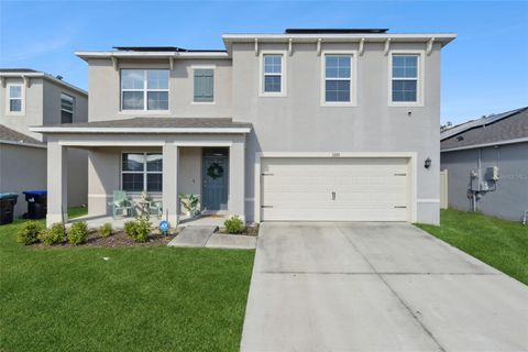 3335 LOGAN BERRY DRIVE MOUNT DORA FL 32757