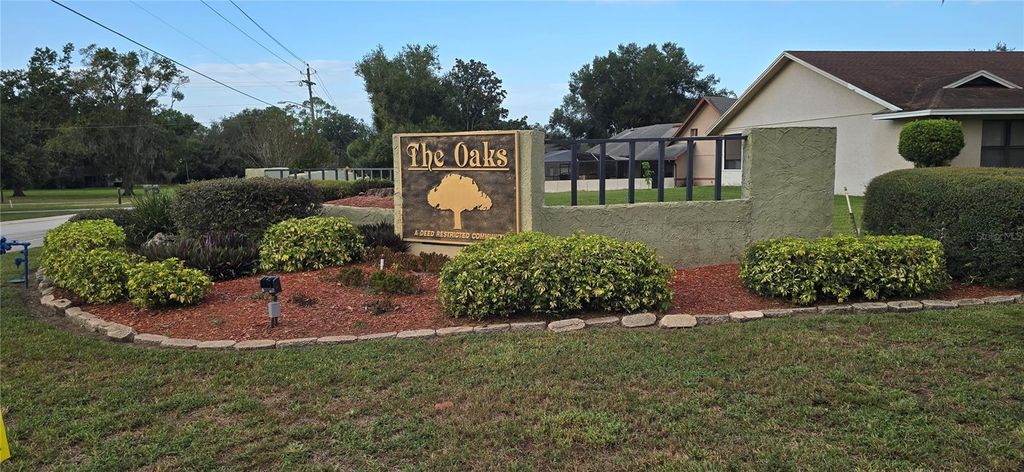 Photo of 923 Hammock Shade Drive, Lakeland, FL 33809 (MLS # R4910020)