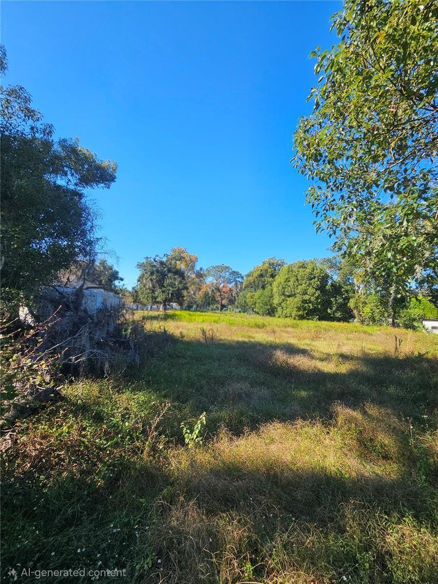 Discover a great opportunity to build your next home on this 0.34-acre lot located on a quiet dead-end street in Lakeland. This property offers a peaceful setting with public water and power already available at the road, making your future build more convenient. The lot provides easy access to shopping, dining, parks, and major roadways, with quick connections to both Tampa and Orlando. Whether you’re looking to build now or invest for the future, this well-located parcel offers excellent potential in a growing area.