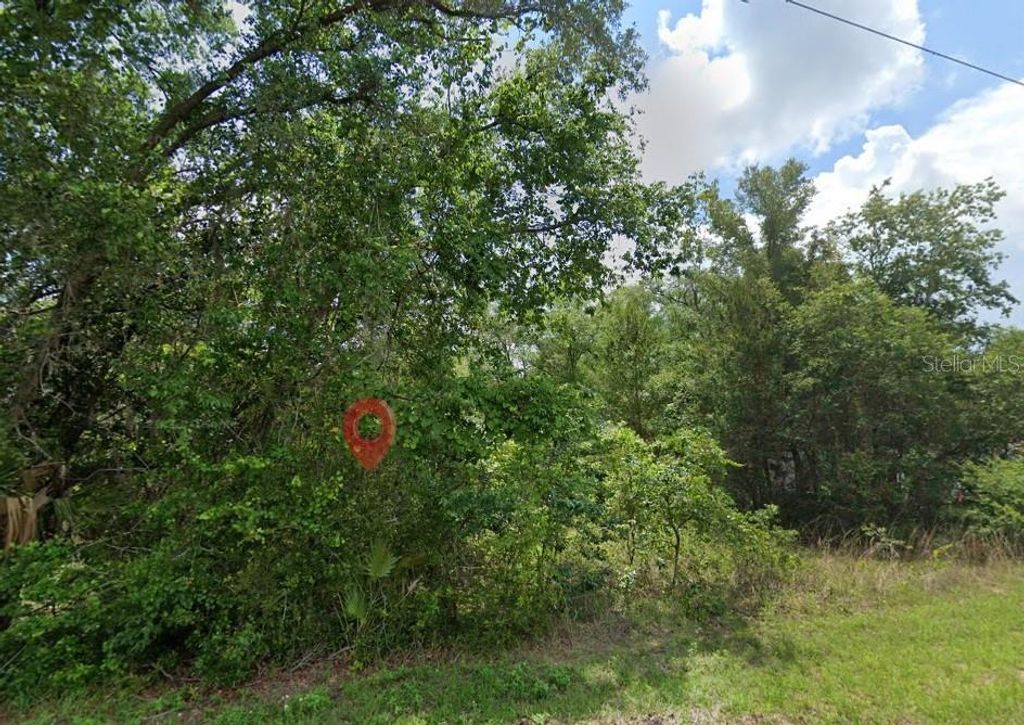 Photo of 5363 N Redwood Avenue, Hernando, FL 34442 (MLS # TB8498765)