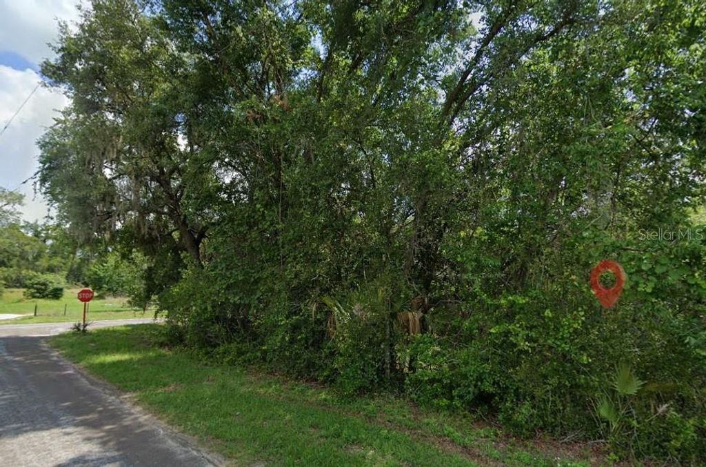 Photo of 5363 N Redwood Avenue, Hernando, FL 34442 (MLS # TB8498765)