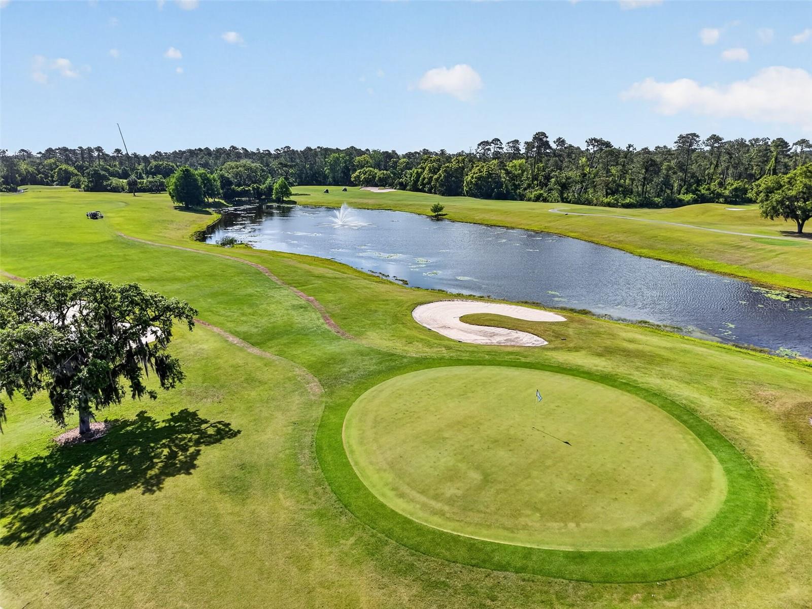 COUNTRY CLUB OF MOUNT DORA - Residential