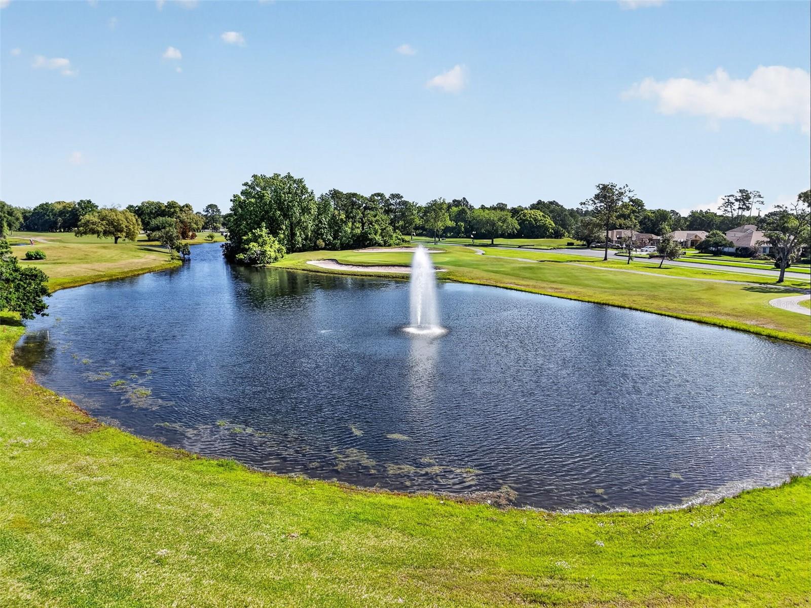 COUNTRY CLUB OF MOUNT DORA - Residential