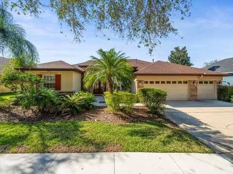 15720 IBISRIDGE DRIVE LITHIA FL 33547
